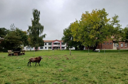 Wichernhof Dehmen in ländlicher Umgebung
