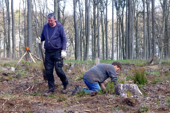 Baumpflanzaktion 2026 Bild 7