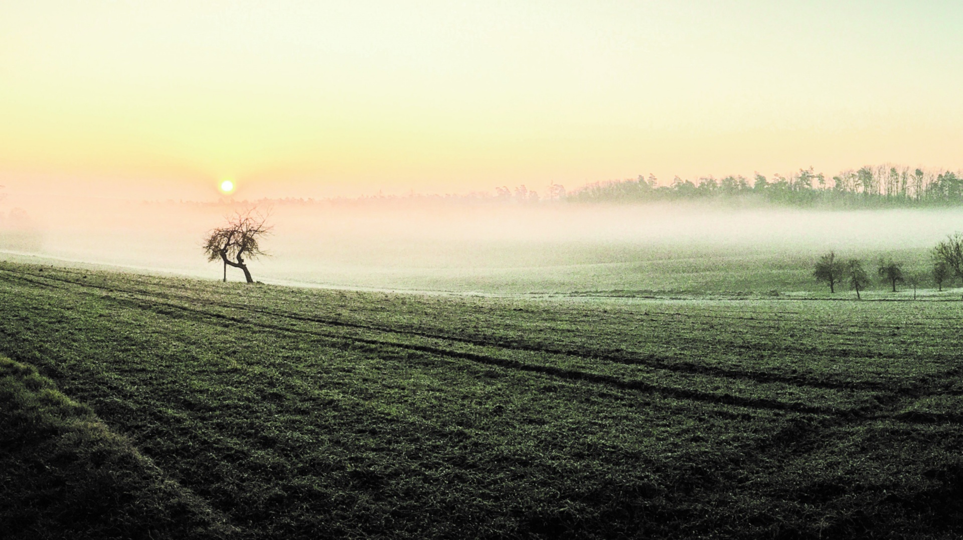 Andacht: beginning of spring