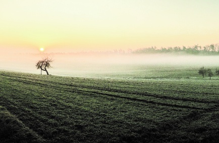 Andacht: beginning of spring