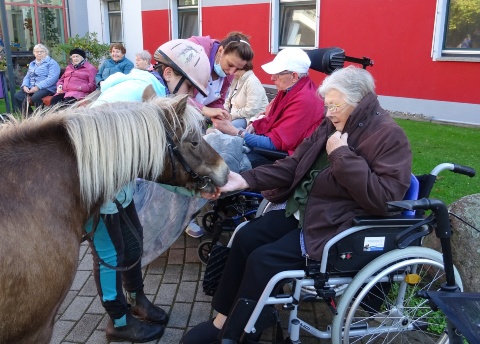 Ponys zu Besuch im Pflegeheim Röbel