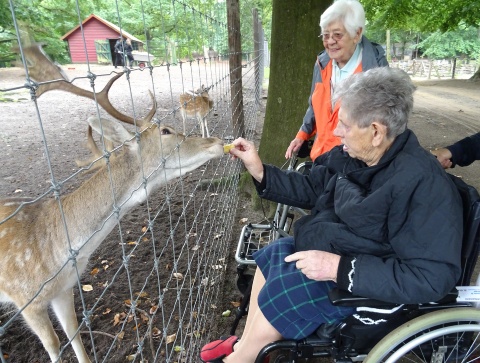 Moderne Pflege: Unterhaltung im Tiergehege